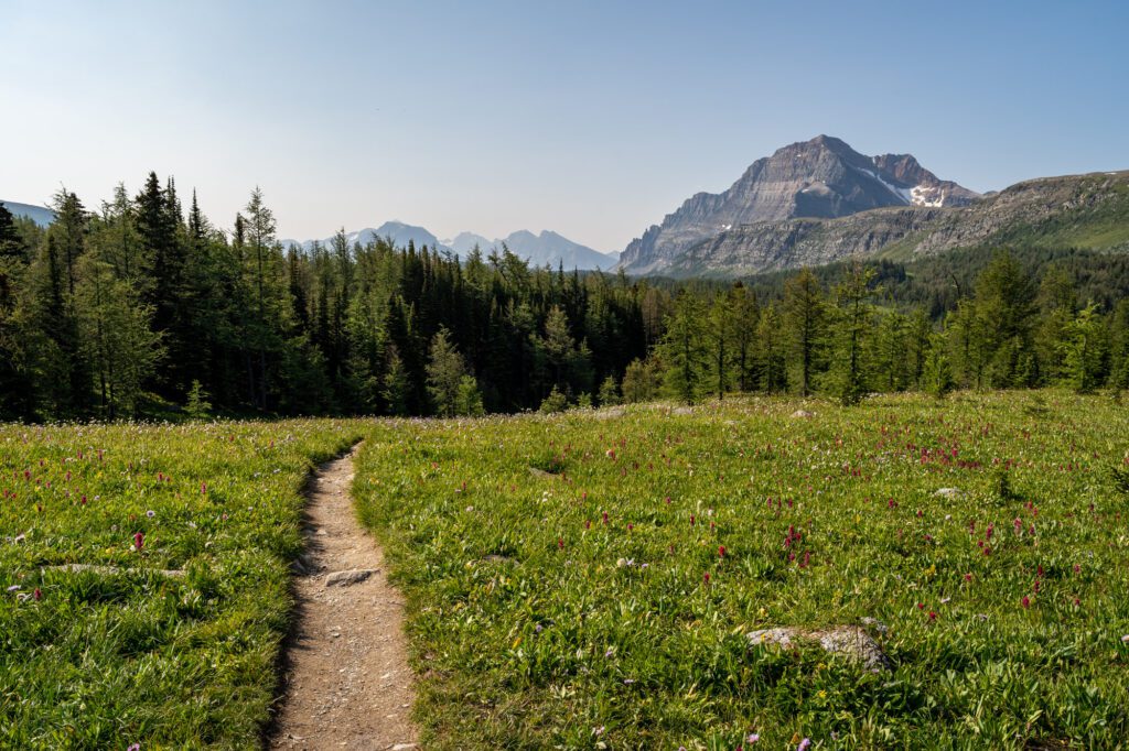 rocky mountain road trip from calgary