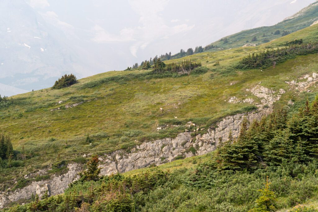 rocky mountain road trip from calgary