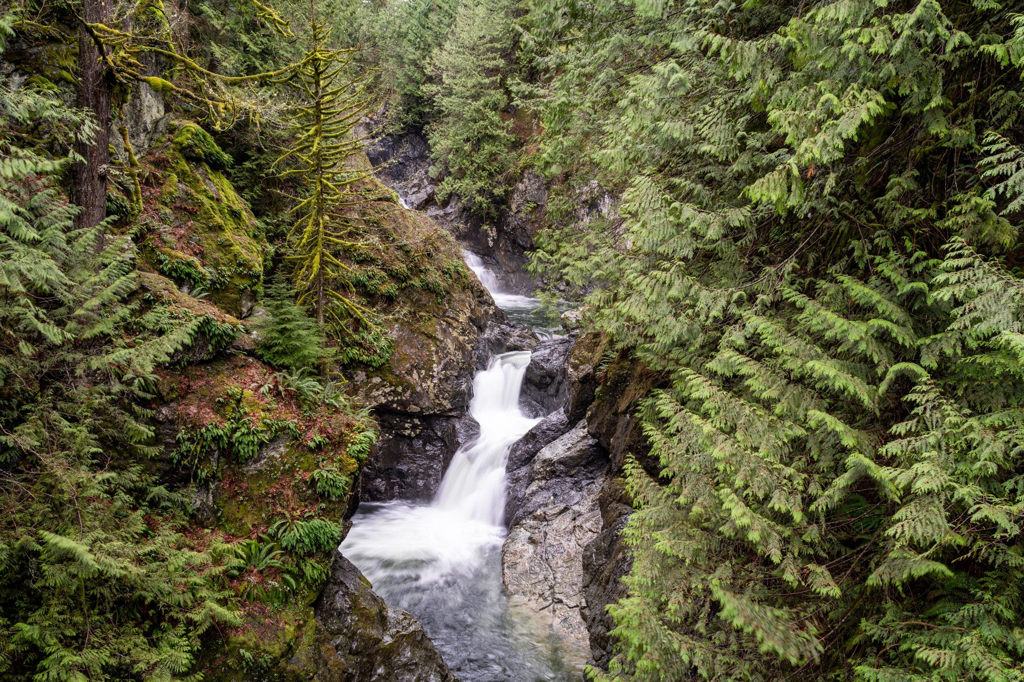The Magical Twin Falls Trail in Washington: (Complete Guide)