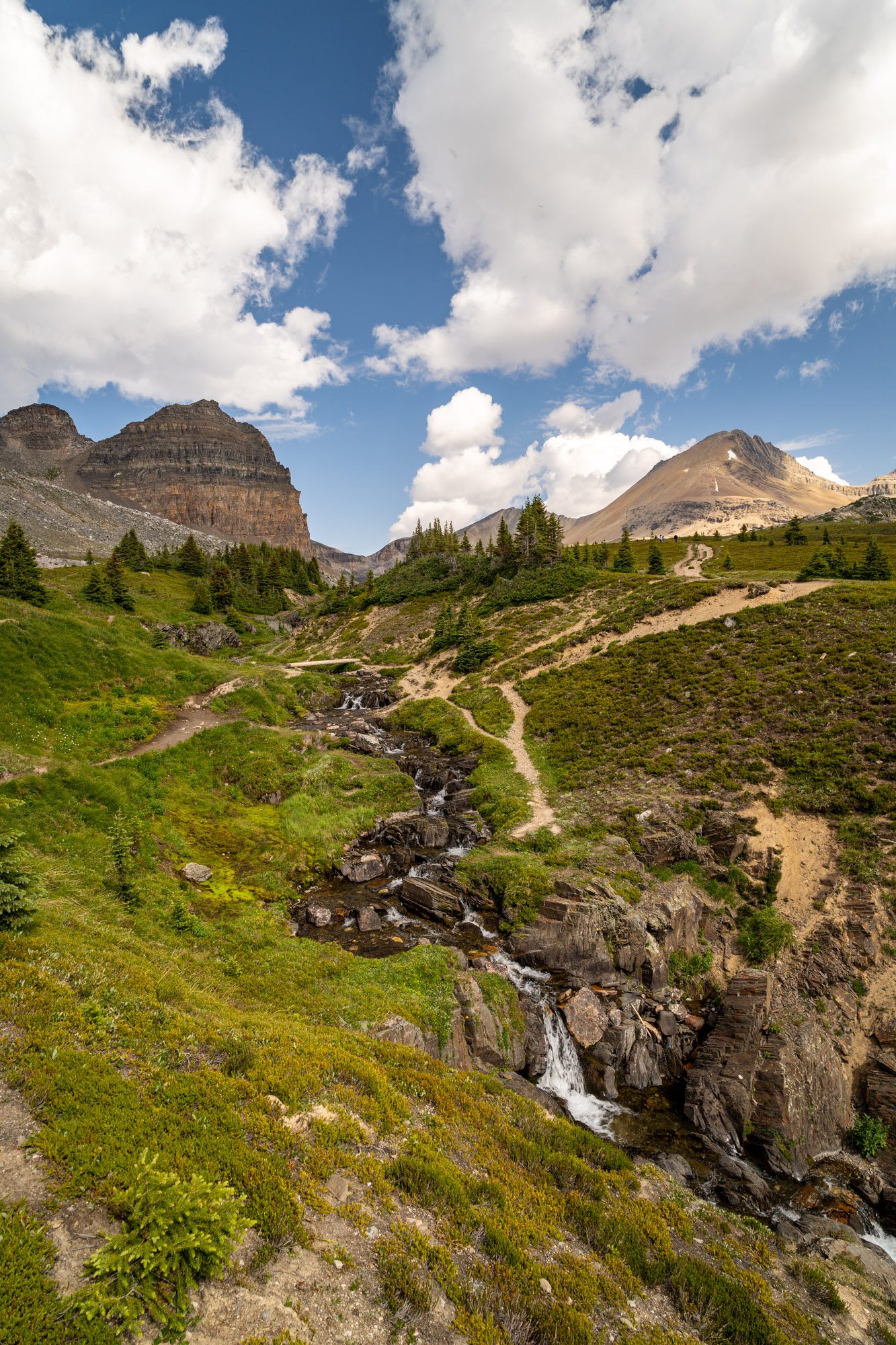 Hiking The Helen Lake Trail In Banff: A Complete Trail Guide