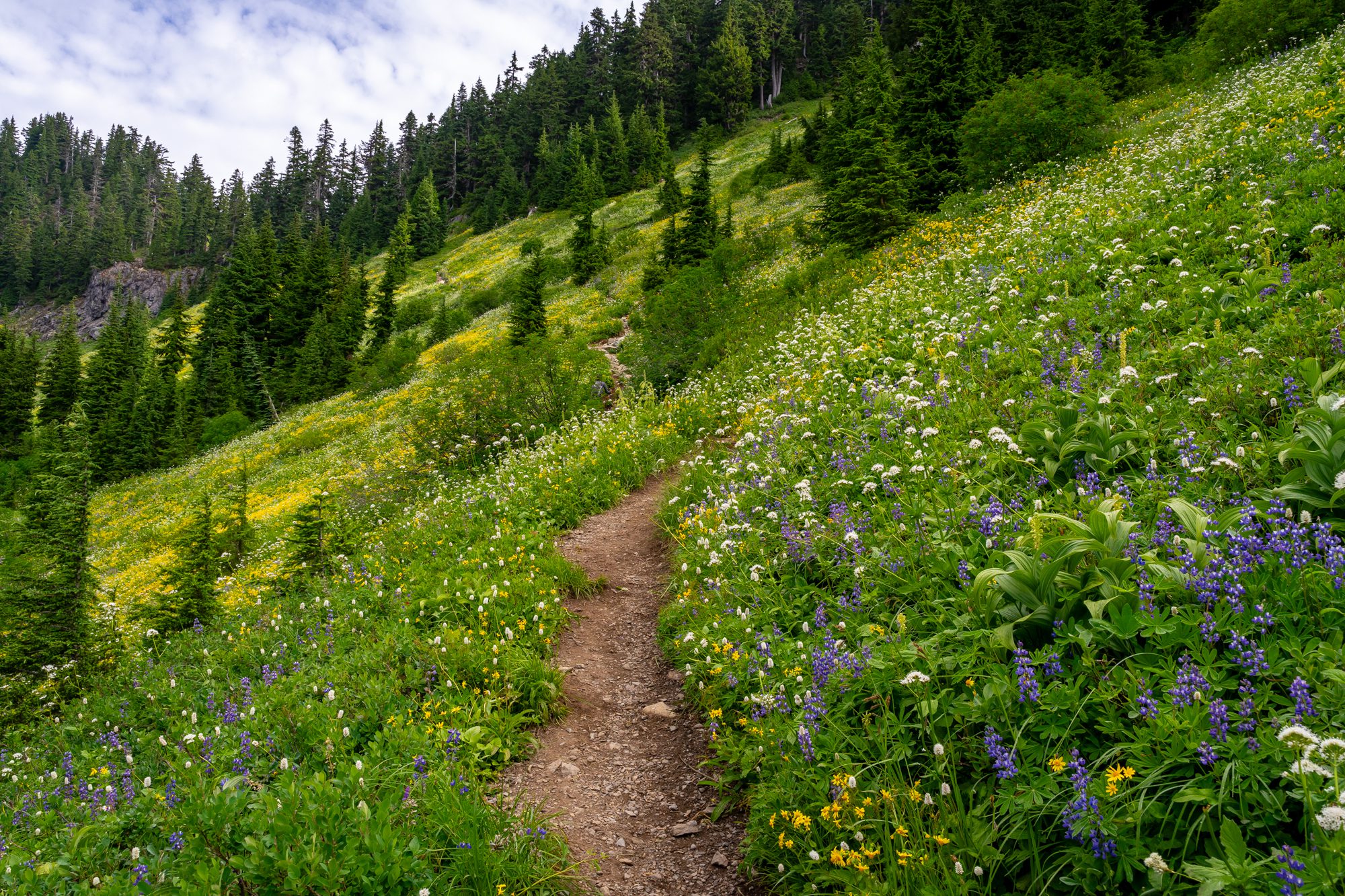 A Complete Guide To Hiking The Yellow Aster Butte Trail
