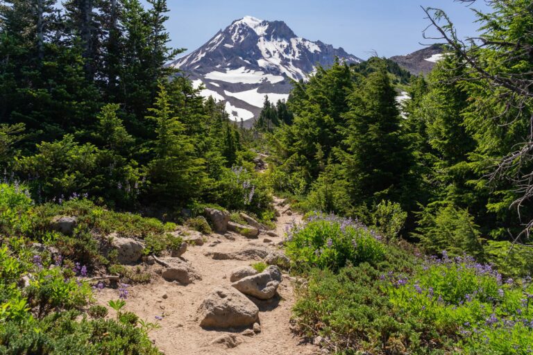 How to Hike the Amazing McNeil Point Trail at Mt. Hood