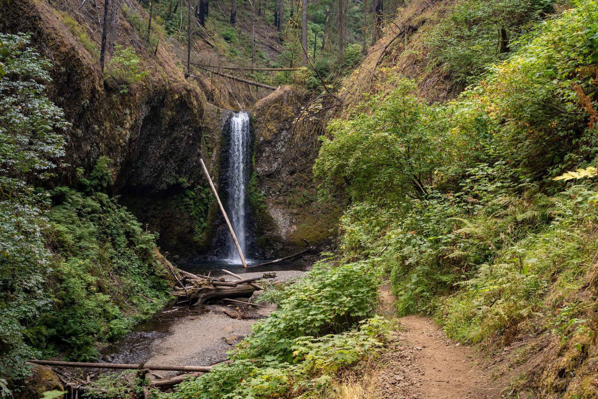 The Multnomah – Wahkeena Falls Loop: A Complete Guide