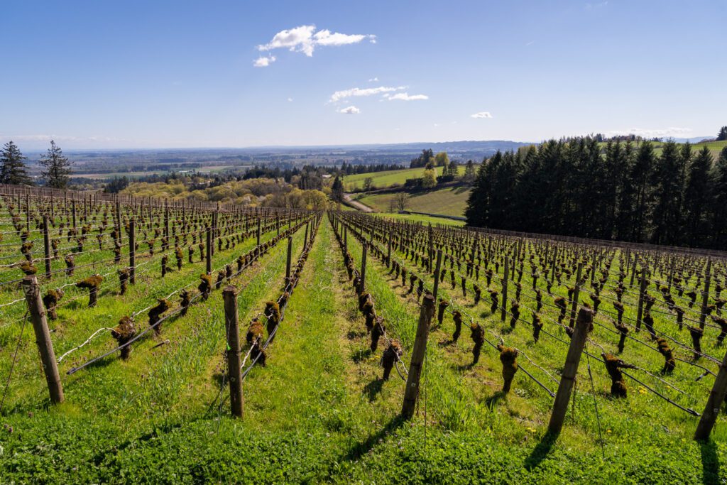 family day trips oregon