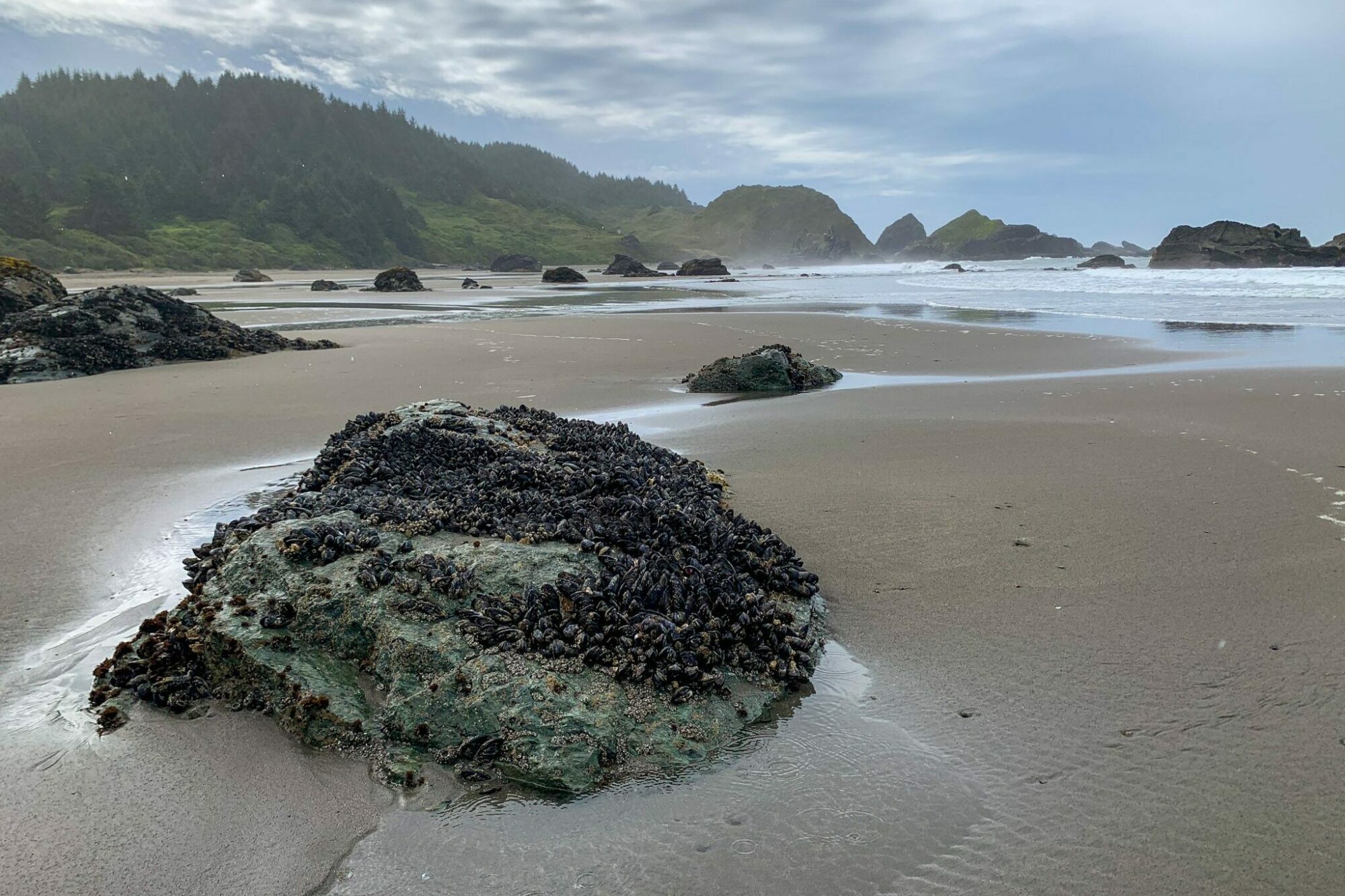 oregon road trip coast