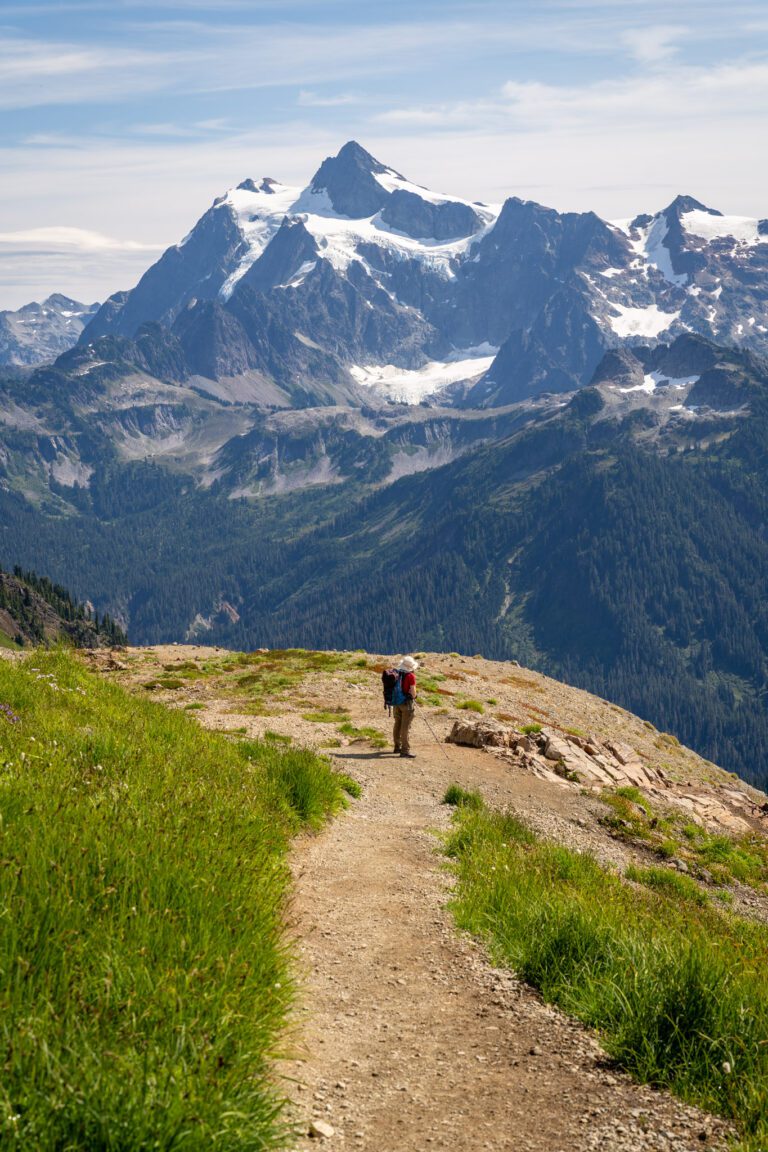The Ptarmigan Ridge Trail At Mt. Baker: A Complete Guide