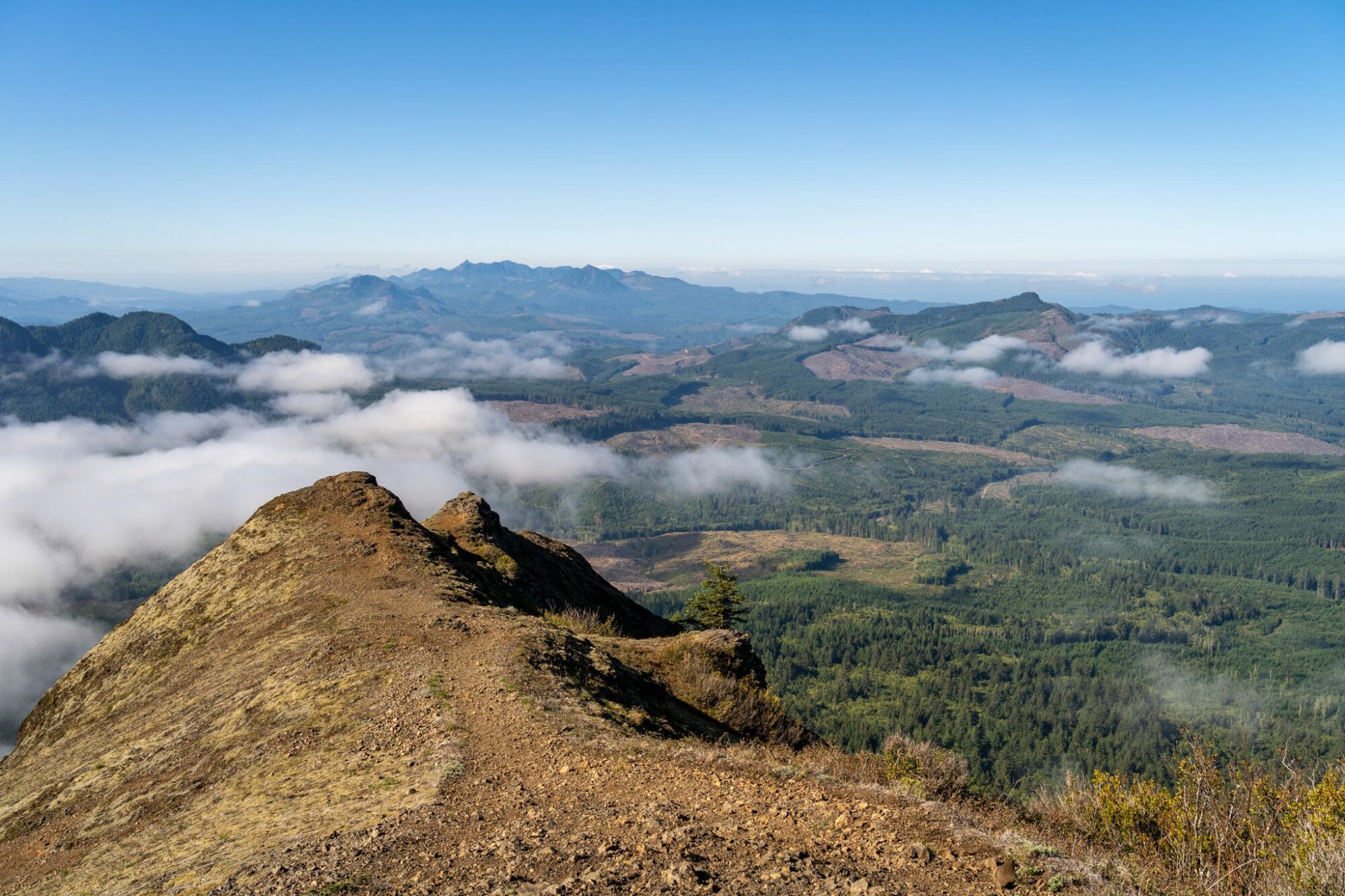 The Incredible Saddle Mountain Trail: A Complete Guide