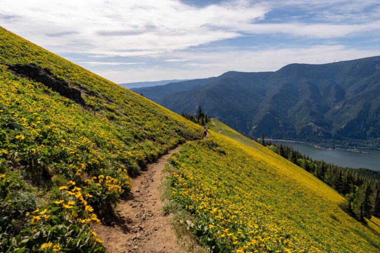 Hiking the Dog Mountain Trail: A Complete Guide