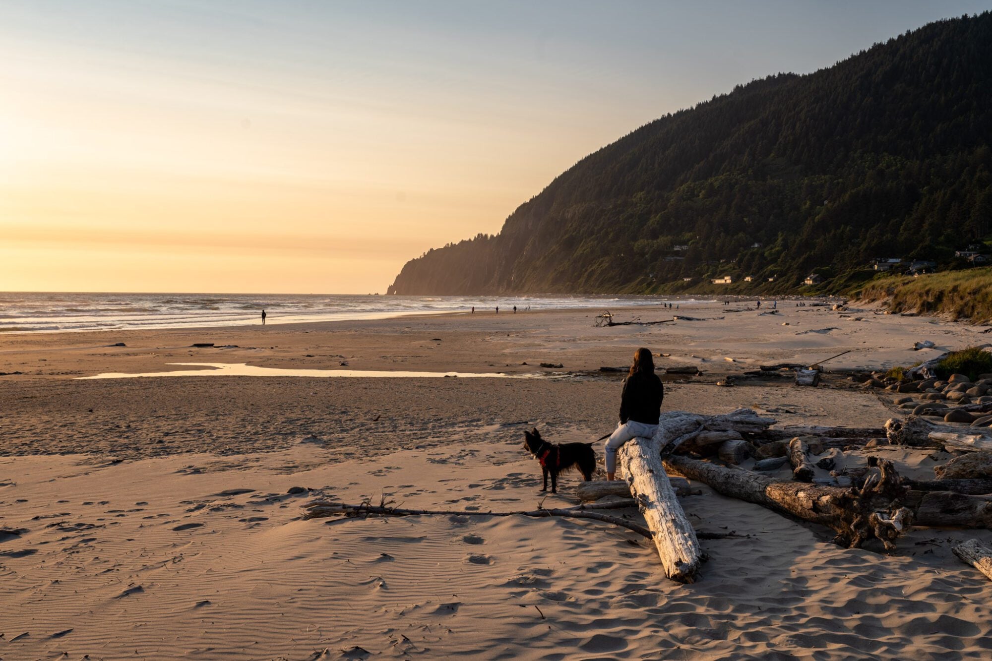 Exactly What to Do in Cannon Beach: A Complete Guide