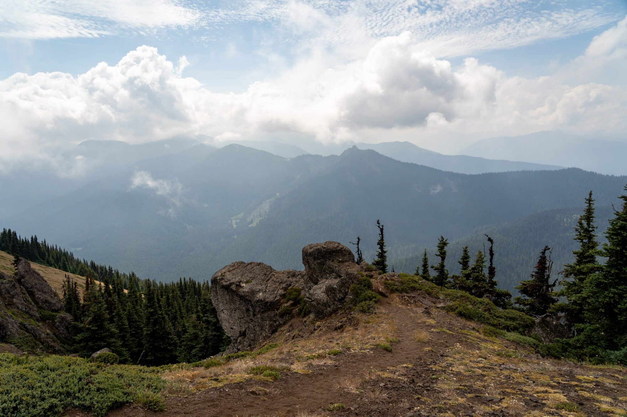 Hiking the Klahhane Ridge Trail: A Complete Trail Guide