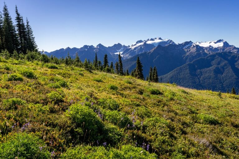 The High Divide / Seven Lakes Basin in Olympic National Park